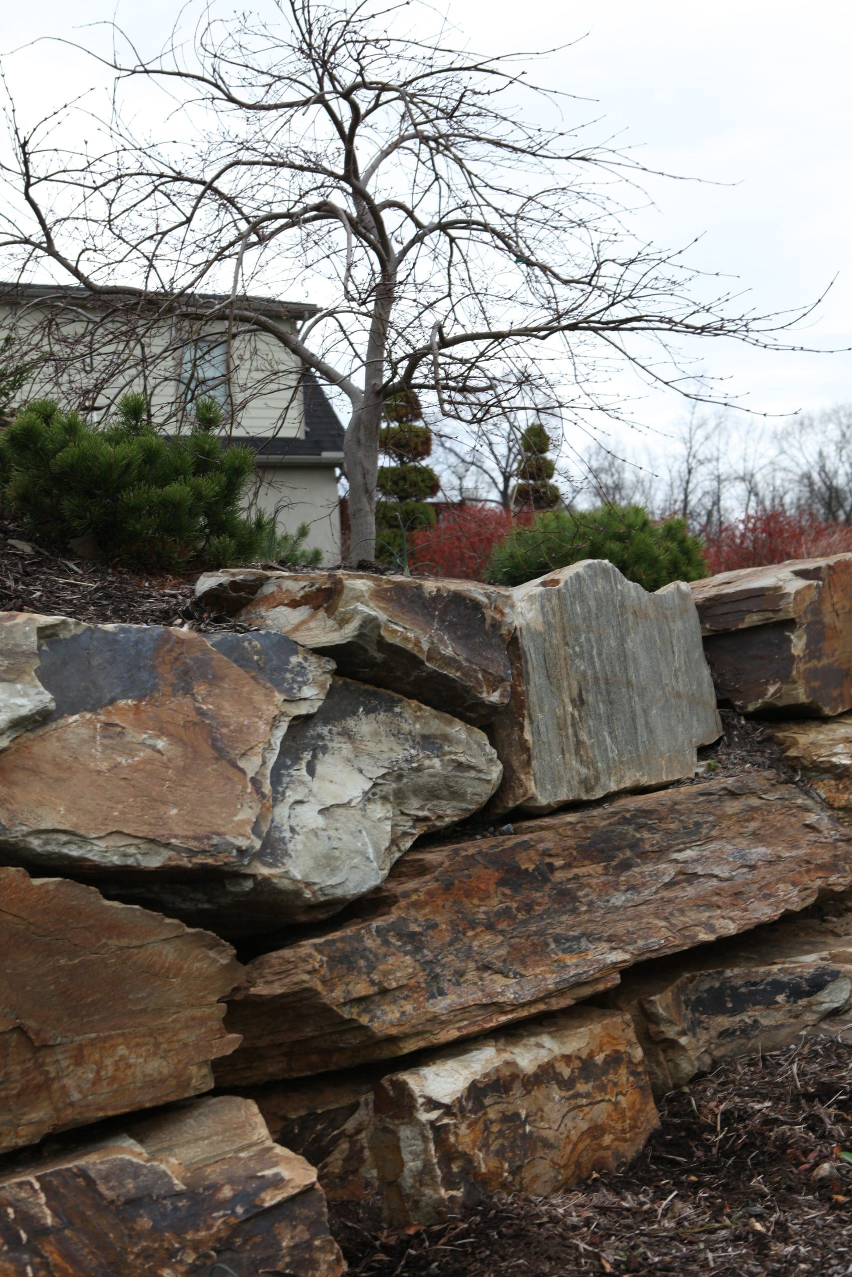 A closer look at a stone standing wall, with a scraggly tree and ornamental bushes poking out above.